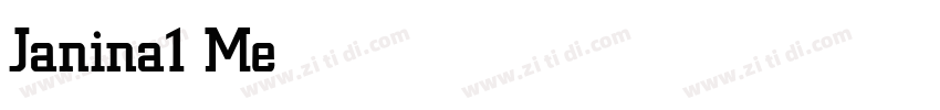 Janina1 Medium字体转换
